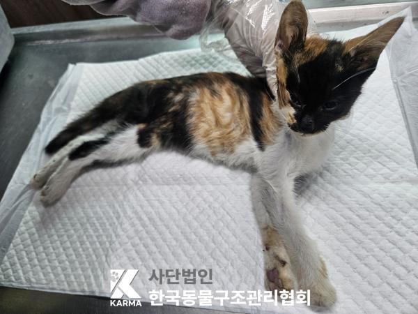 종료(자연사) 한국…